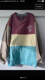 Trui z8, Kinderen en Baby's, Kinderkleding | Maat 116, Ophalen of Verzenden, Zo goed als nieuw, Jongen, Trui of Vest