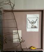 Verweerde houten vierkante bakken lijsten, Ophalen