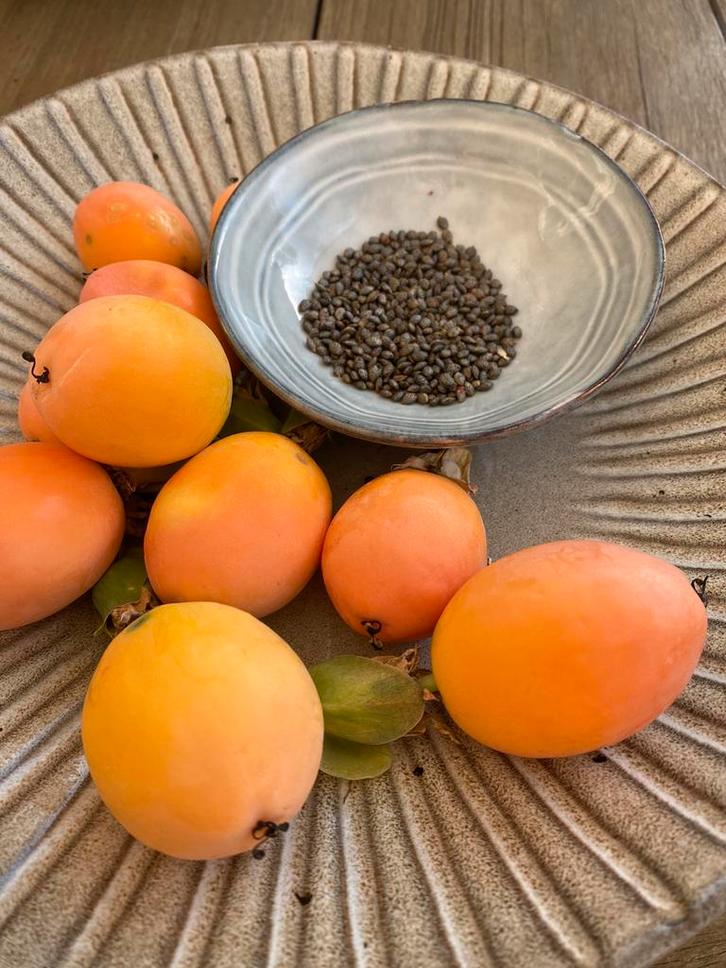 Zaden van mijn normale en witte passiebloem, Tuin en Terras, Planten | Struiken en Hagen, Overige soorten, 100 tot 250 cm, Ophalen of Verzenden