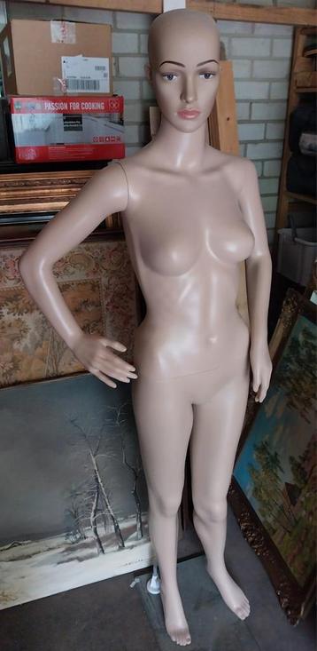 Etalagepop - Dames - Nieuw - Tectake - 175 cm  beschikbaar voor biedingen