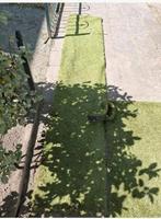 Kunstgras, Tuin en Terras, Gras en Kunstgras, Ophalen of Verzenden, Minder dan 10 m²
