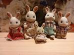 Sylvanian Families Konijnen Familie, Ophalen of Verzenden, Gebruikt, Overige typen