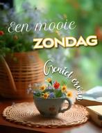 Ervaren huishoudelijke hulp beschikbaar, Ophalen of Verzenden