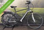 Pegasus Premio EVO 10 Lite 750WH – Elektrische Herenfiets