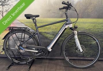 Pegasus Premio EVO 10 Lite 750WH – Elektrische Herenfiets beschikbaar voor biedingen