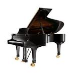Gezocht: Steinway C 227 of Fazioli 228 vleugel, Muziek en Instrumenten, Piano's, Ophalen, Zwart, Vleugel