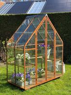 tuinkas, greenhouse, kweekkas,  vintage kas met rond glas, Tuin en Terras, Nieuw, Kweekkas, Ophalen of Verzenden, Glas