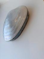 Parelmoer Sieradenkistje Schelp, Ophalen of Verzenden, Gebruikt, Overige materialen, Minder dan 50 cm