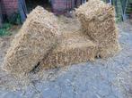 Kleine pakken tarwe stro, Dieren en Toebehoren, Dierenvoeding, Ophalen, Overige soorten