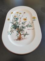 Villeroy and boch serie botanica platte schaal., Ophalen of Verzenden, Zo goed als nieuw