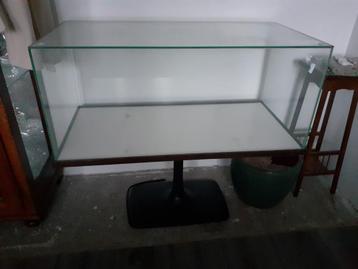 Unieke grote oude display op voet (stolp, vitrine) beschikbaar voor biedingen