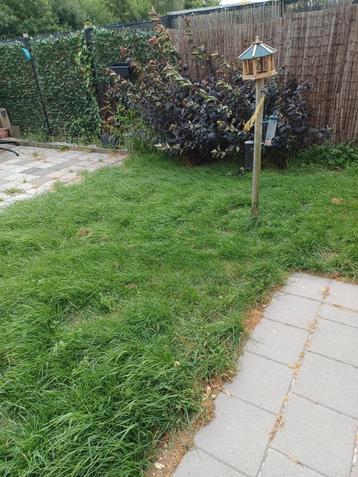 Hulp voor mijn tuin beschikbaar voor biedingen
