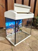Aquarium, Dieren en Toebehoren, Ophalen, Gebruikt, Leeg aquarium