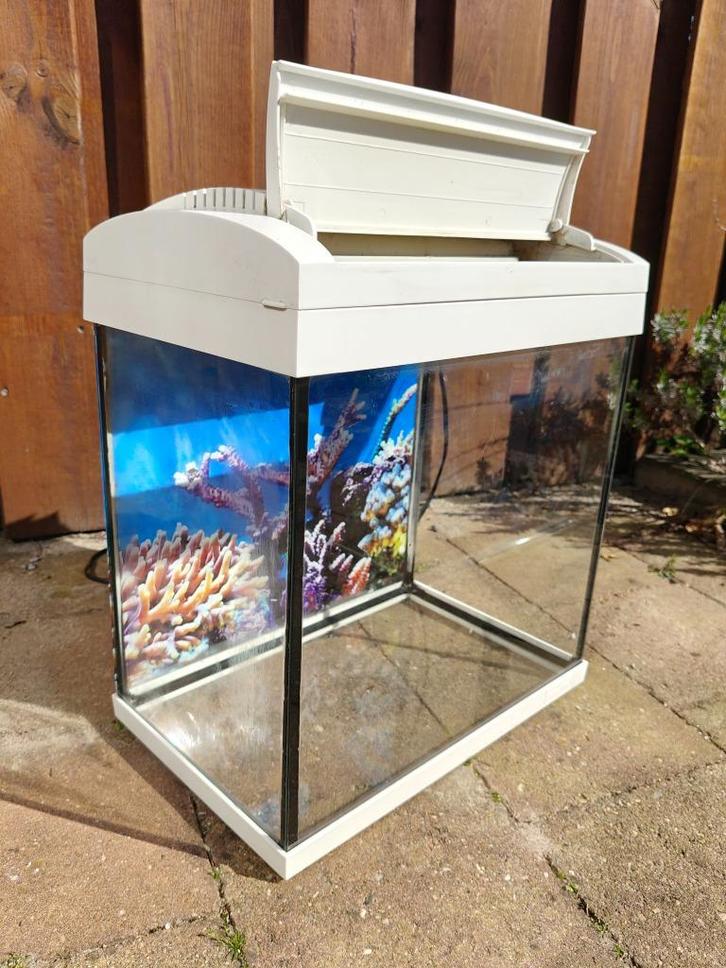 Aquarium, Dieren en Toebehoren, Vissen | Aquaria en Toebehoren, Gebruikt, Leeg aquarium, Ophalen