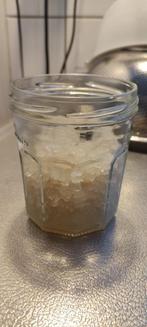 Biologische waterkefir / water kefir 100gr, Ophalen