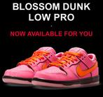 Nike sb dunk powerpuff blossom dunk, Kleding | Heren, Schoenen, Ophalen of Verzenden, Zo goed als nieuw
