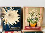 Plaatjesalbum Verkade Kamerplanten, Boeken, Prentenboeken en Plaatjesalbums, Ophalen of Verzenden, Zo goed als nieuw