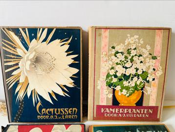Plaatjesalbum Verkade Kamerplanten beschikbaar voor biedingen