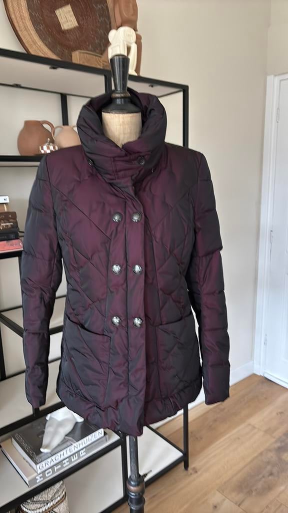 Greenstone bordeau winterjas nieuwstaat 36/38, Kleding | Dames, Ophalen of Verzenden, Zo goed als nieuw, Maat 36 (S), Overige kleuren