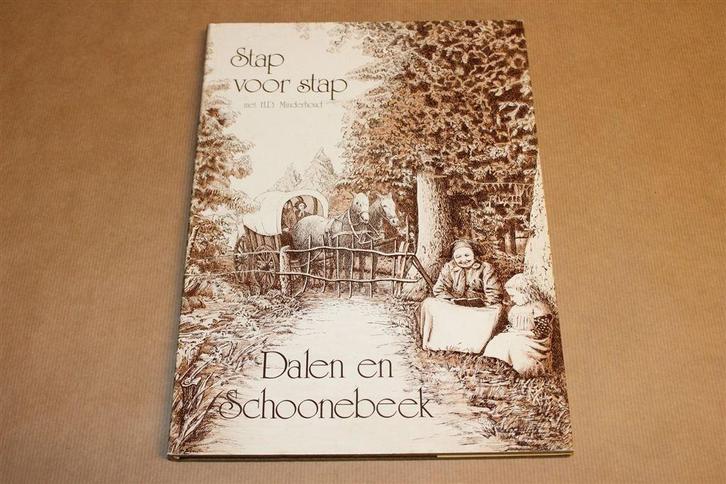 Stap voor Stap — Dalen & Schoonebeek in Beeld [1984], Boeken, Geschiedenis | Stad en Regio, Gelezen, Ophalen of Verzenden