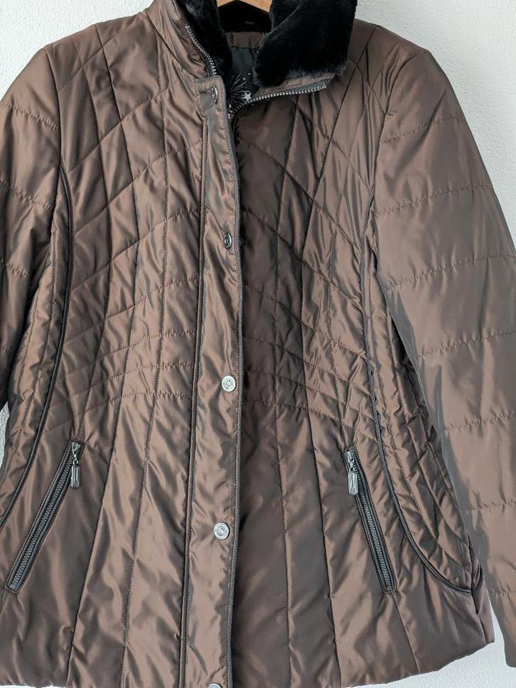 Winterjas donkerbruin maat 42, Kleding | Dames, Jassen | Winter, Zo goed als nieuw, Maat 42/44 (L), Bruin, Ophalen of Verzenden