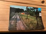 Ansichtkaart Hoenderloo, camping ‘t schinkel, Ophalen of Verzenden, 1960 tot 1980