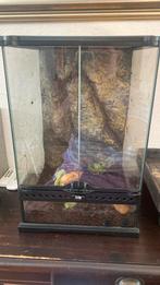 Dieren, Ophalen, Gebruikt, Terrarium of Paludarium