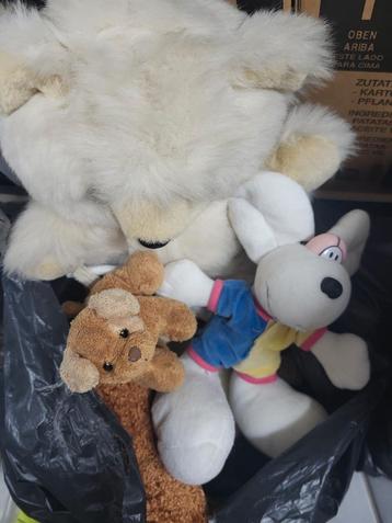 Knuffels  beschikbaar voor biedingen