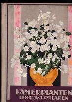 Verkade - Vetplanten - Apen - Kamerplanten, Verzenden, Zo goed als nieuw