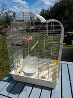 Vogelkooi met toebehoren, Dieren en Toebehoren, Vogels | Hokken en Kooien, Ophalen, Zo goed als nieuw, Metaal, Vogelkooi