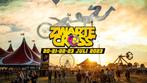 Zwarte cross zaterdag kaarten, Tickets en Kaartjes, Evenementen en Festivals, Drie personen of meer