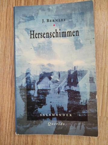  J. Bernlef - Hersenschimmen beschikbaar voor biedingen