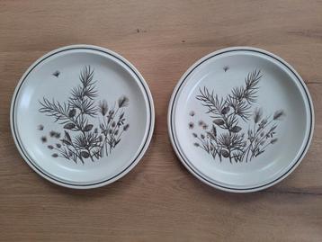 2 Vintage beige-bruine dinerborden Pinewood  beschikbaar voor biedingen