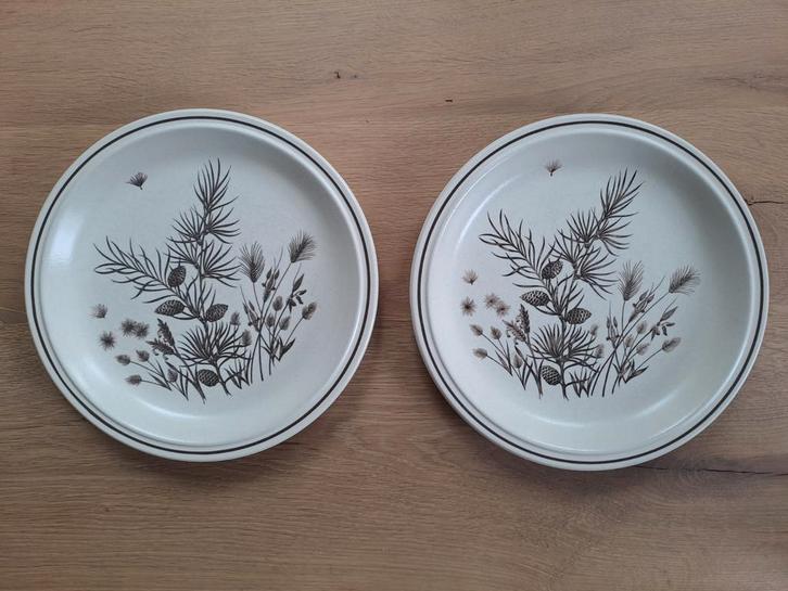 2 Vintage beige-bruine dinerborden Pinewood, Huis en Inrichting, Keuken | Servies, Bord(en), Overige stijlen, Keramiek, Ophalen of Verzenden