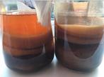 Kombucha scoby, komboecha gezond gratis, Diversen, Ophalen
