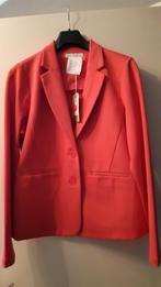 Te Koop Jasje en Broek. Red Button. Maat 42, Kleding | Dames, Jasjes, Kostuums en Pakken, Kostuum of Pak, Maat 42/44 (L), Nieuw