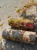 Lindenhout stammen voor houtbewerking, Ophalen, Gebruikt, 50 mm of meer, Balk