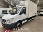 Mercedes-Benz Sprinter 513CDI| Frigo -32| Lift |Rijbewijs, Auto's, Automaat, Gebruikt, Overige modellen, 129 pk