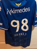 Matchworn shirt Vitesse, Maat XL, Ophalen, Zo goed als nieuw, Shirt