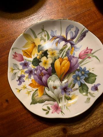 Alt Regensburg Fine Bone China kopje en schotel beschikbaar voor biedingen