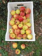 Fruit, Diversen, Levensmiddelen, Ophalen