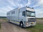 Paardevrachtwagen te koop, Euro 2, Grijs, Particulier, DAF