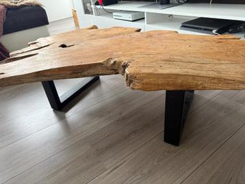Unieke Boomstam Salontafel  beschikbaar voor biedingen