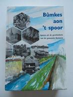 Bûmkes aon 't spoor, Boeken, Geschiedenis | Stad en Regio, Gemeente Kesteren, Ophalen of Verzenden, 20e eeuw of later, Gelezen
