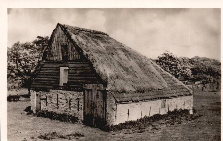 Texel, Schapenboet  130699, Verzamelen, Ansichtkaarten | Nederland, Ongelopen, Noord-Holland, Verzenden