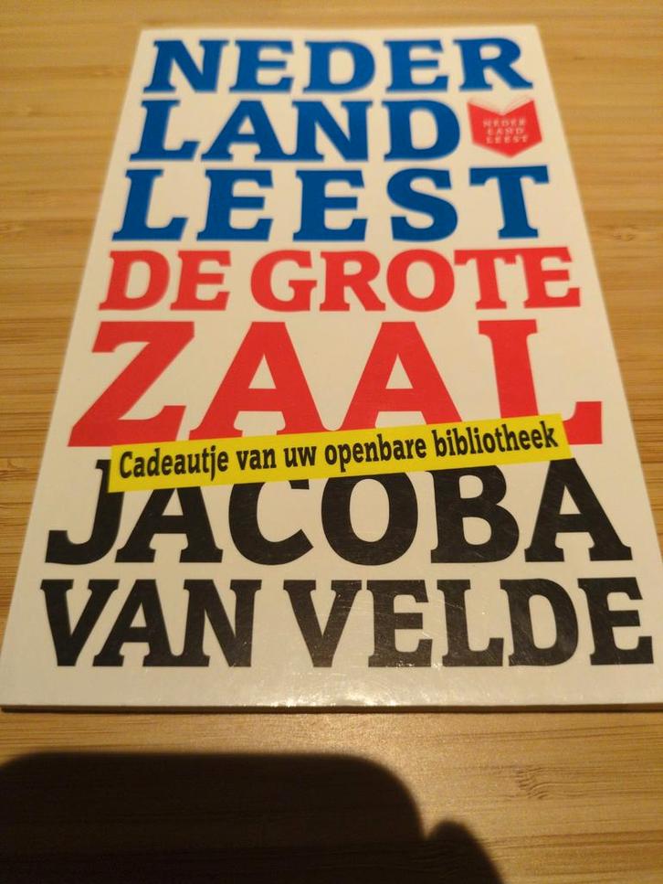 De Grote Zaal - Jacoba van Velde, Boeken, Literatuur, Gelezen, Nederland, Ophalen of Verzenden