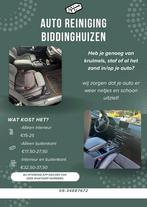 AUTO REINIGING BIDDINGHUIZEN/EMMELOORD, Tuin en Terras, Bladblazers, Ophalen of Verzenden, Zo goed als nieuw, Elektrisch