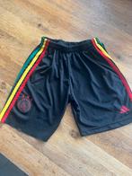 Ajax Sportbroekje Maat 158 zwart adidas, Ajax, Jongen of Meisje, Sport- of Zwemkleding, Ophalen of Verzenden