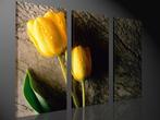 Nieuw * 3 Luik van Canvas * Gele Tulp / Gele Tulpen 80x130cm, Ophalen of Verzenden