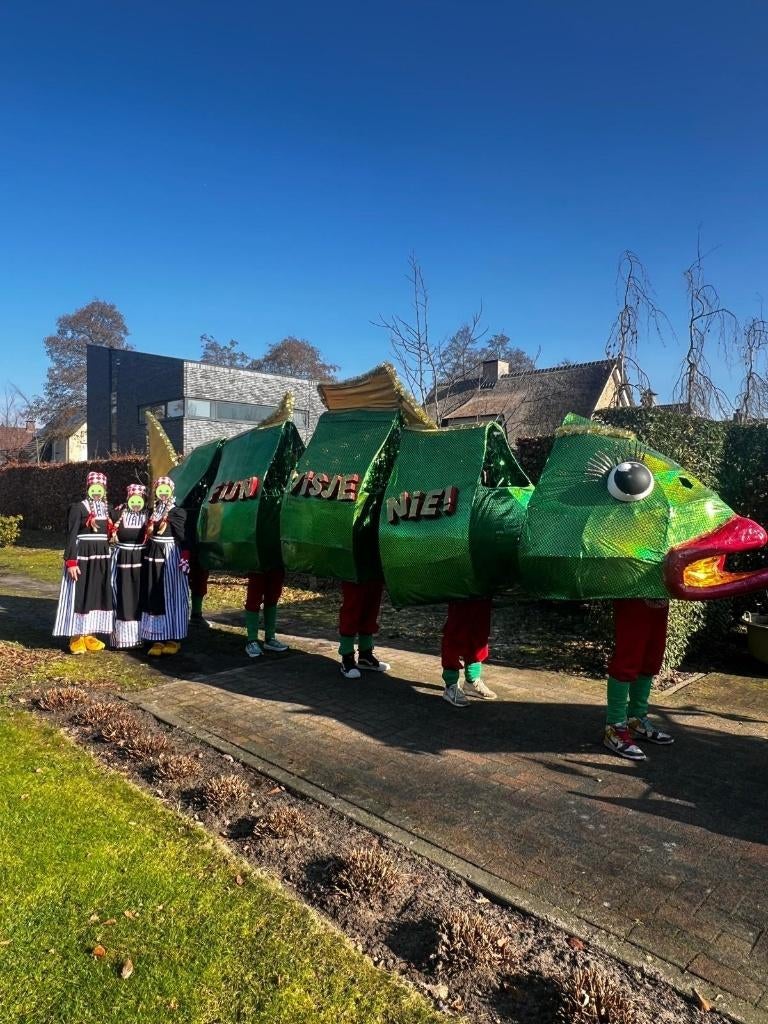Carnaval loopgroep Fijn Visje Nie!, Hobby en Vrije tijd, Feestartikelen, Gebruikt, Overige typen, Carnaval, Ophalen